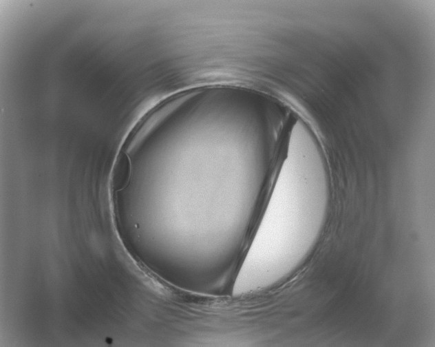 X0000064751291200602241821