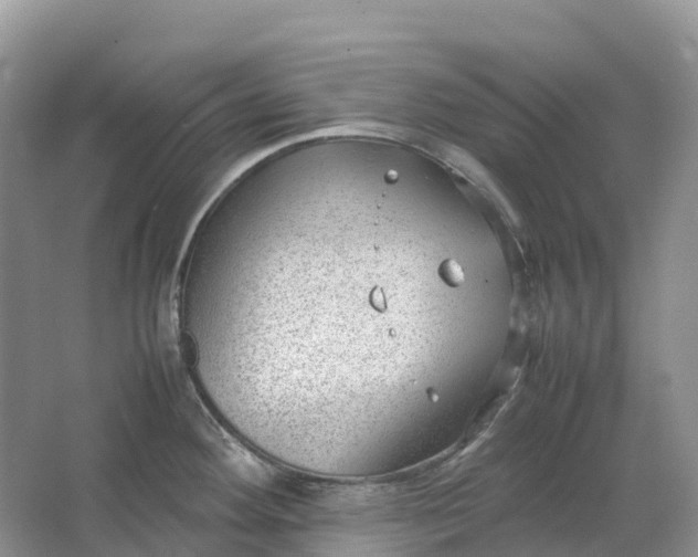 X0000064751292200602241821