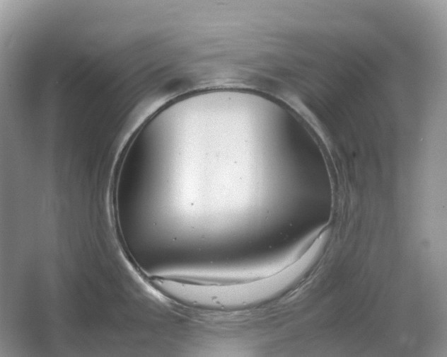 X0000064751293200602241821