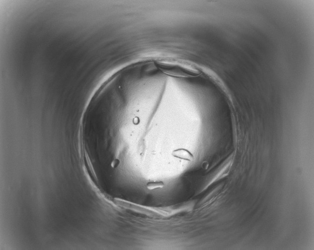 X0000064751295200602241821