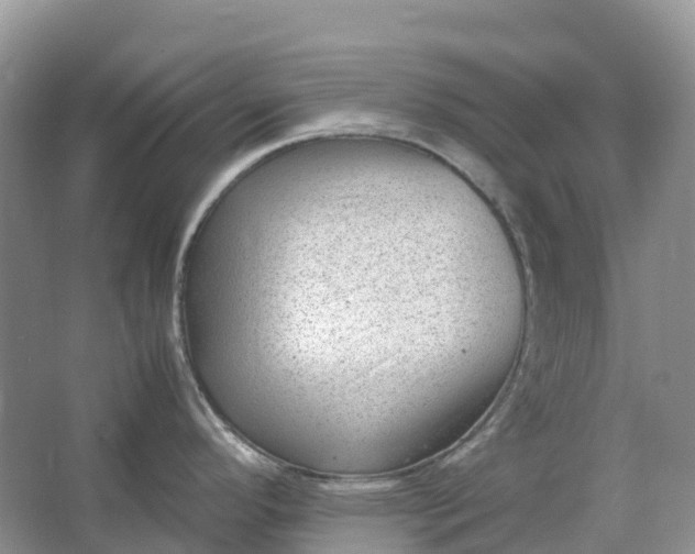 X0000064751296200602241821