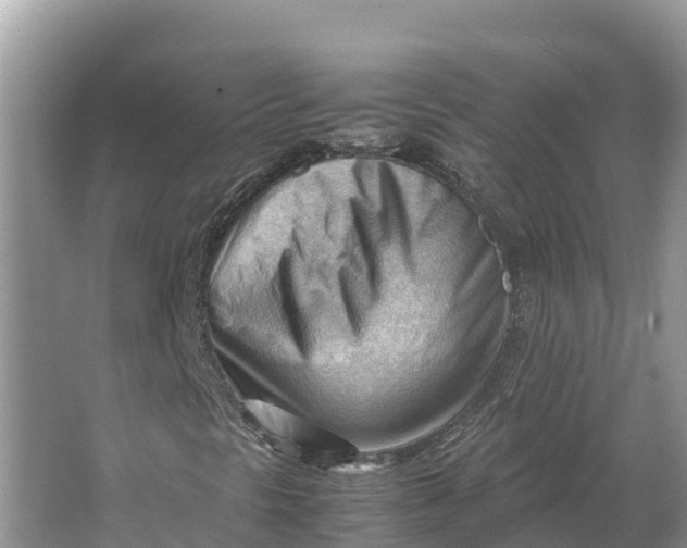 X0000064751297200602241820