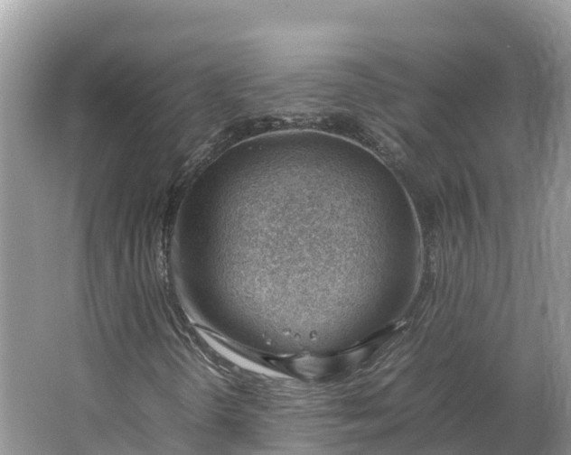 X0000064751298200602241820