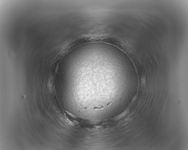 X0000064751300200602241820