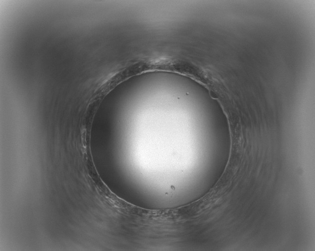 X0000064751301200602241820