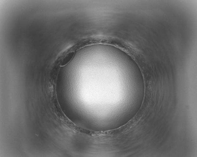 X0000064751302200602241820