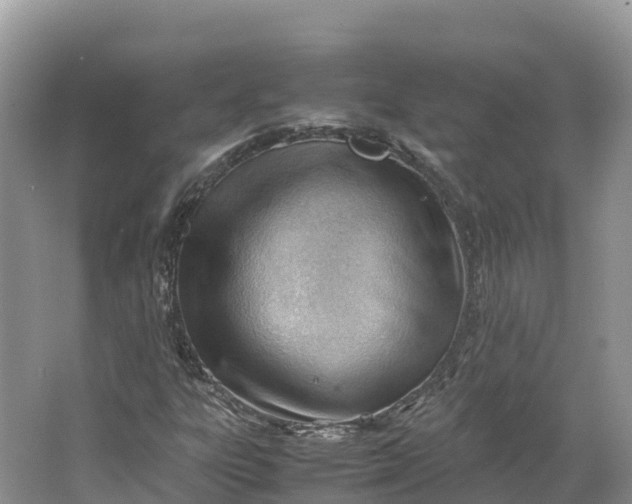 X0000064751303200602241820