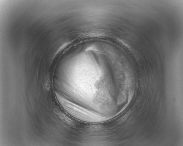 X0000064751306200602241820