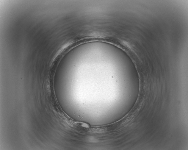 X0000064751307200602241820