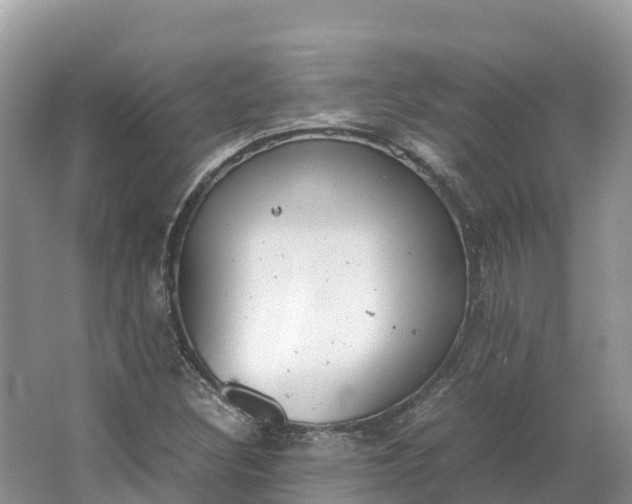 X0000064751308200602241820