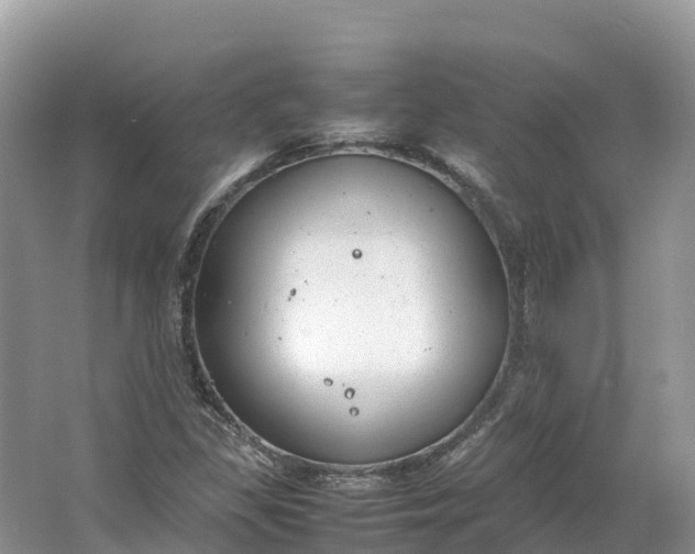 X0000064751309200602241820