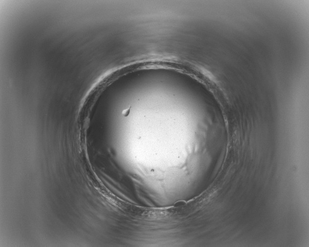 X0000064751310200602241820