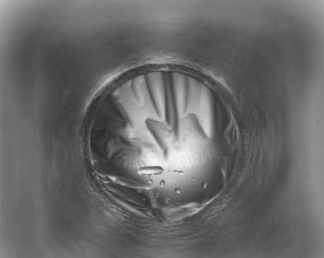 X0000064751311200602241820