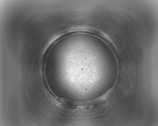 X0000064751312200602241820