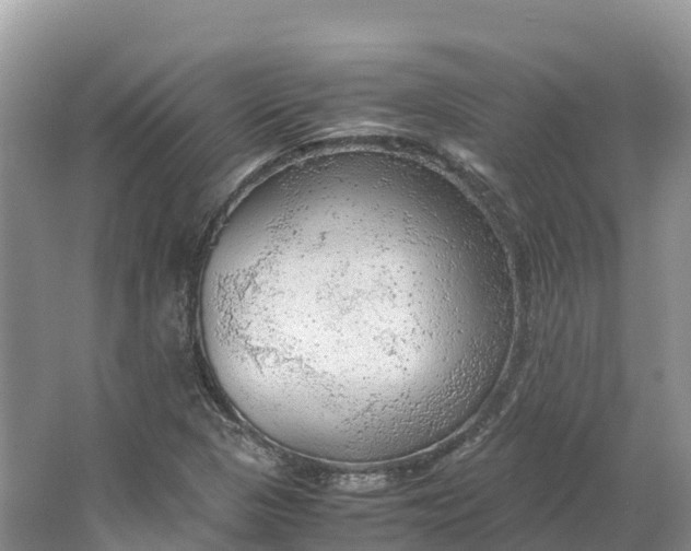 X0000064751313200602241820