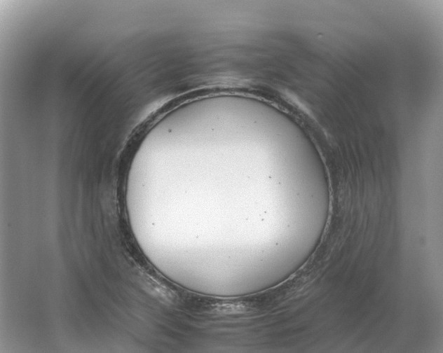 X0000064751315200602241820