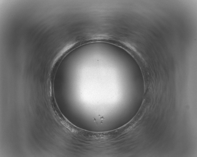 X0000064751317200602241820