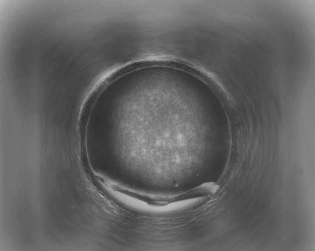 X0000064751319200602241821