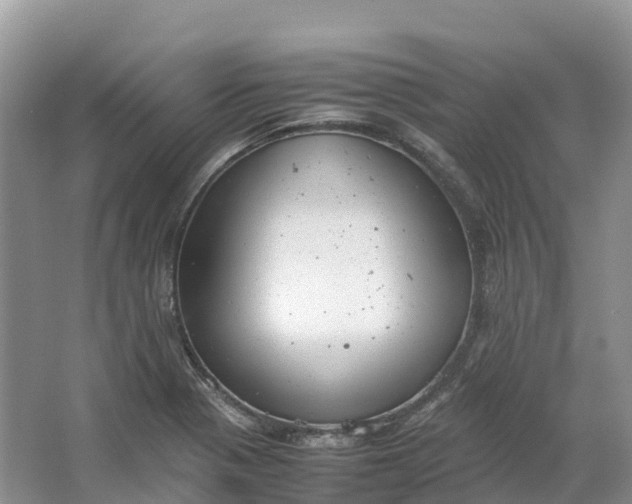 X0000064751321200602241821