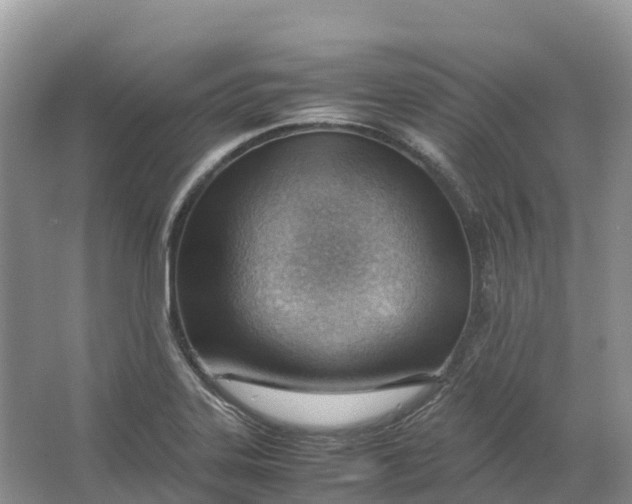 X0000064751323200602241821