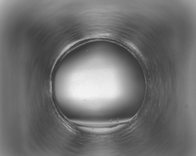 X0000064751324200602241821