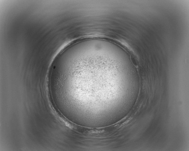 X0000064751325200602241821