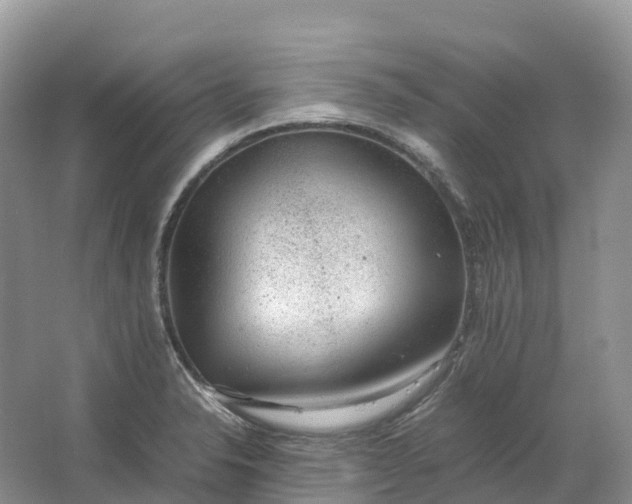 X0000064751326200602241821