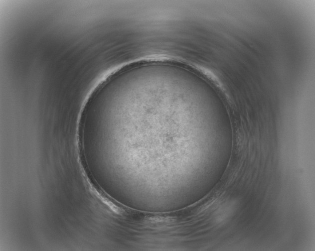 X0000064751327200602241821