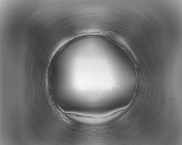 X0000064751328200602241821