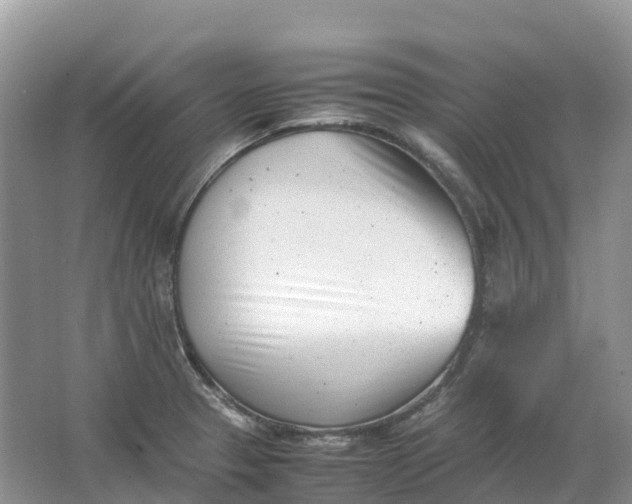 X0000064751329200602241821