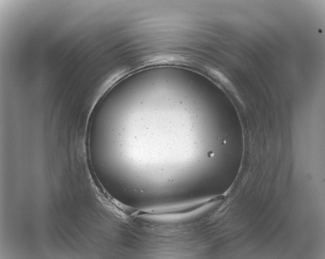 X0000064751330200602241821