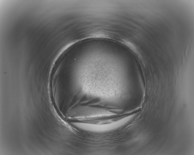 X0000064751331200602241821