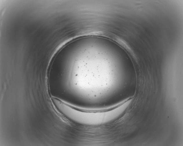 X0000064751332200602241821