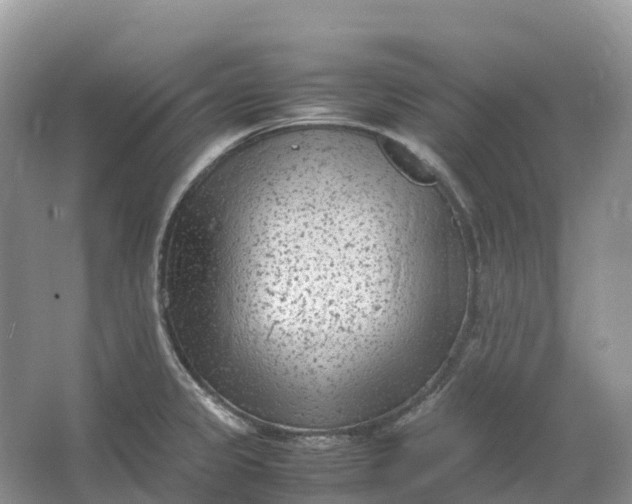 X0000064751333200602241821