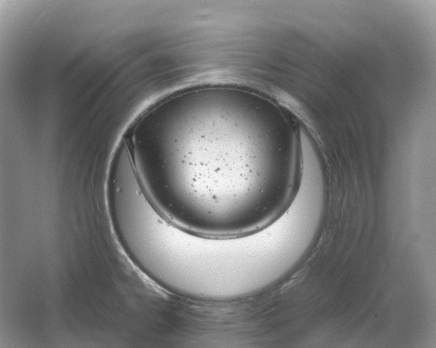 X0000064751334200602241821