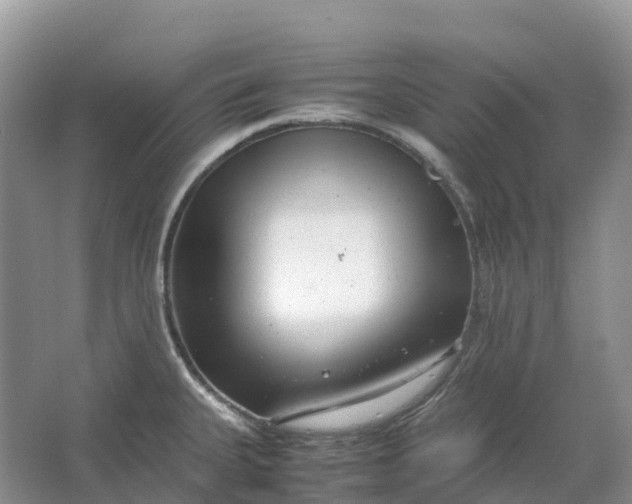 X0000064751335200602241821