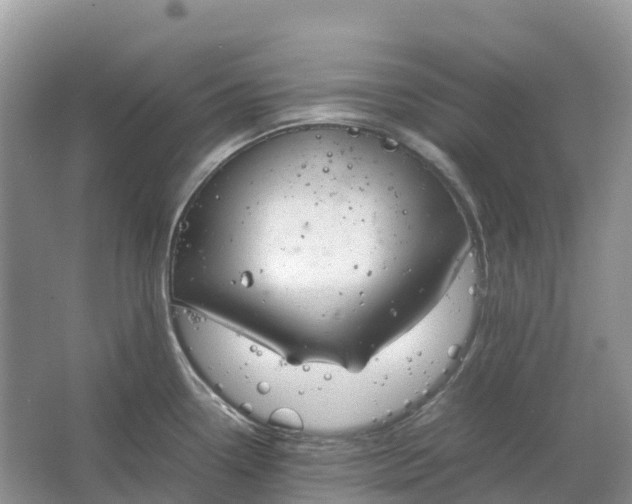 X0000064751338200602241821