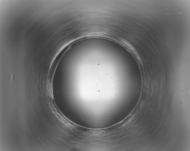 X0000064751340200602241821