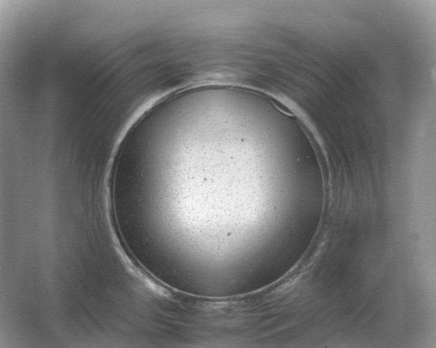 X0000064751341200602241821