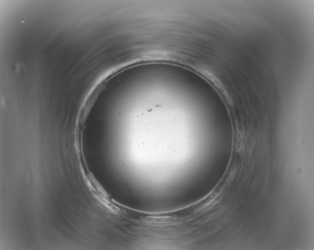 X0000064751342200602241821