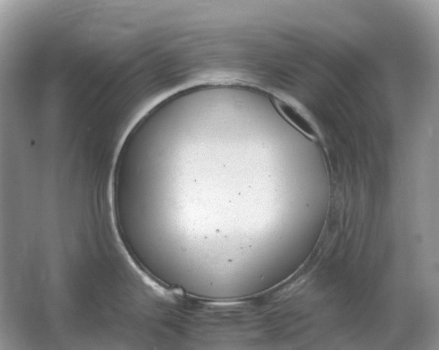 X0000064751343200602241821