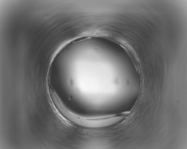 X0000064751344200602241821