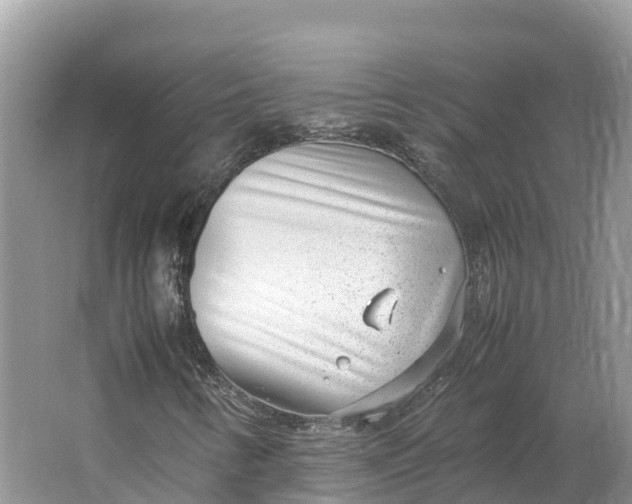 X0000064751346200602241820