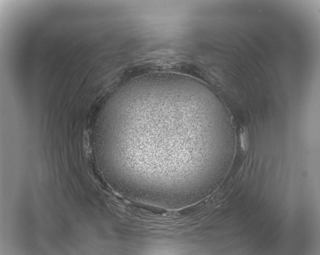 X0000064751347200602241820