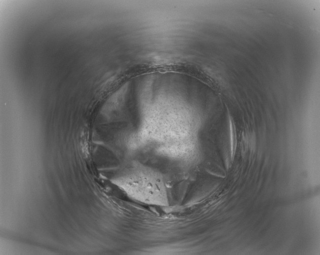 X0000064751348200602241820