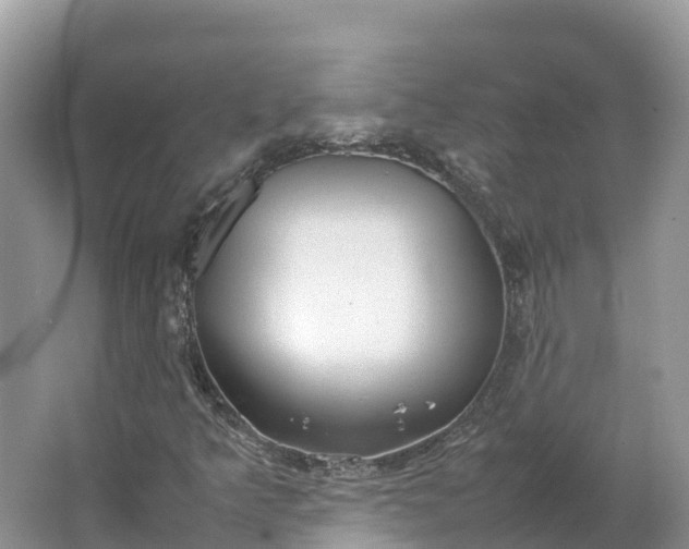 X0000064751349200602241820