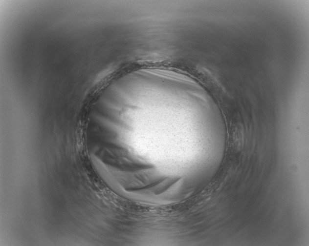 X0000064751350200602241820