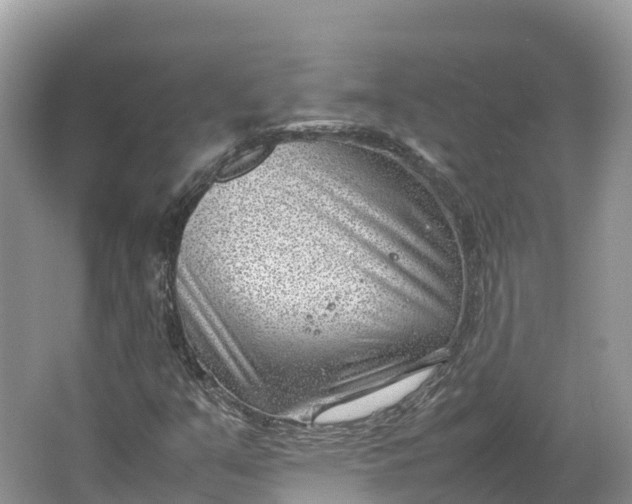 X0000064751351200602241820