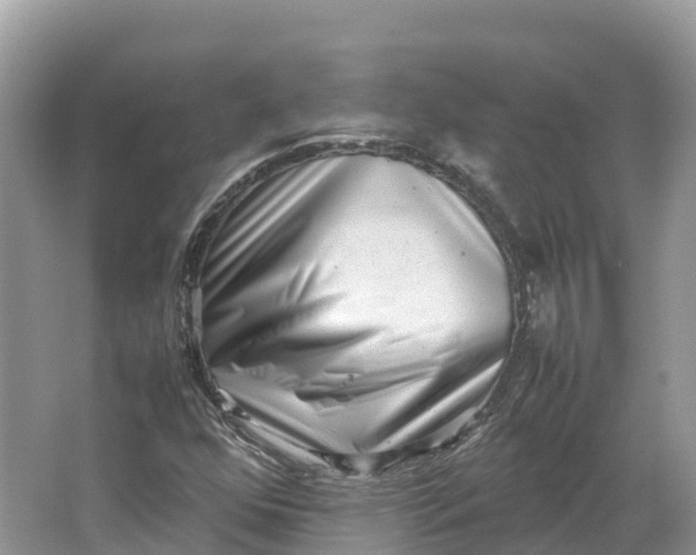 X0000064751352200602241820