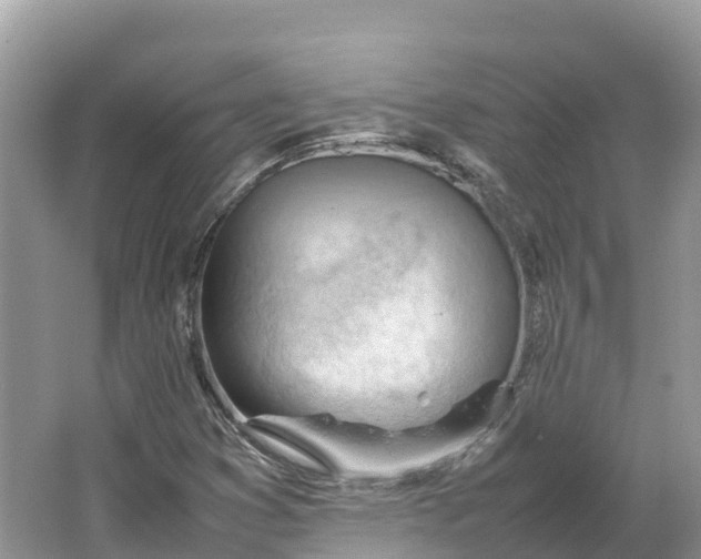 X0000064751353200602241820